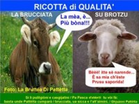 /album/galleria-foto-homepage/brucciata-1-jpg/